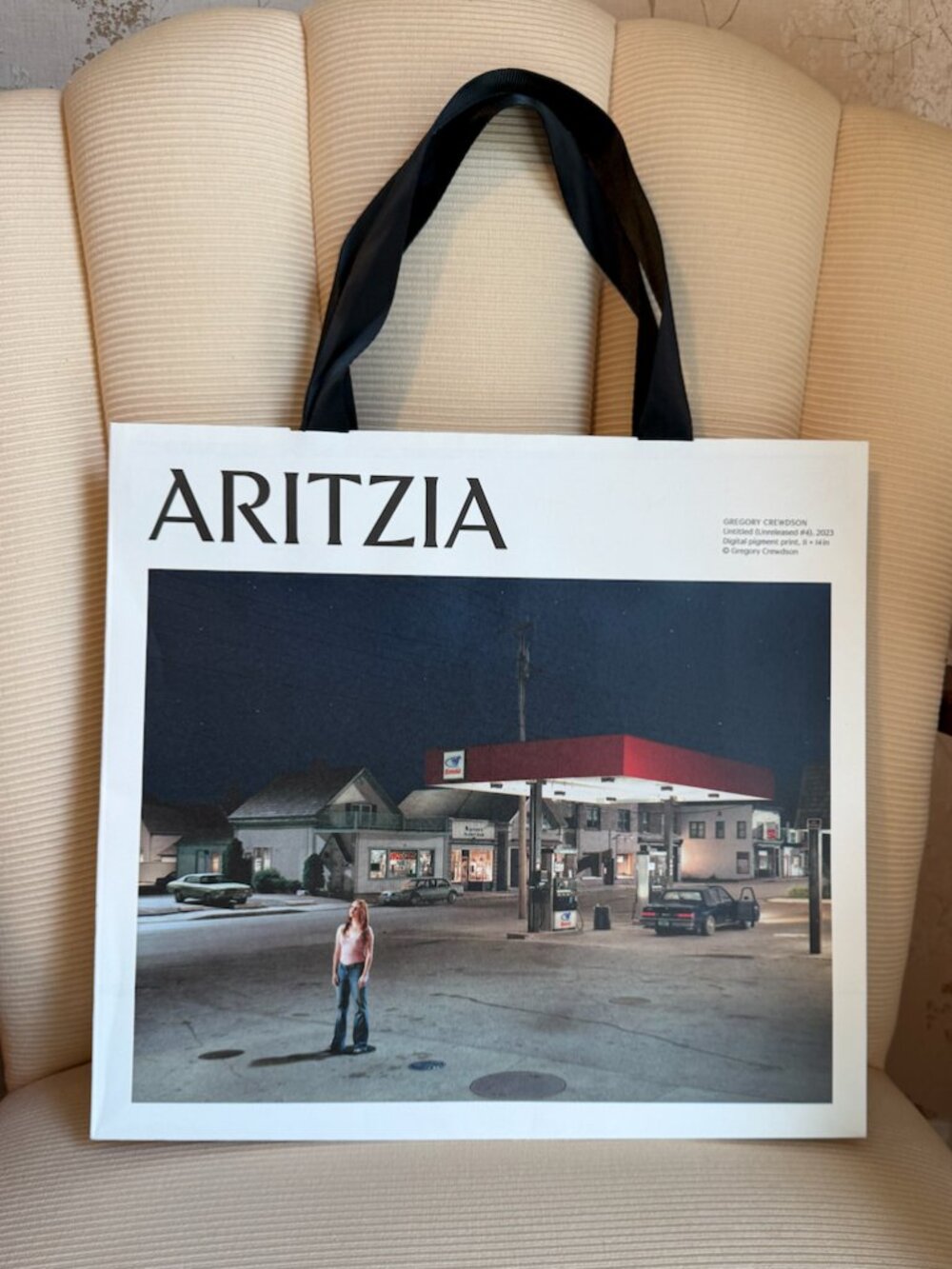 Aritzia shopping bag